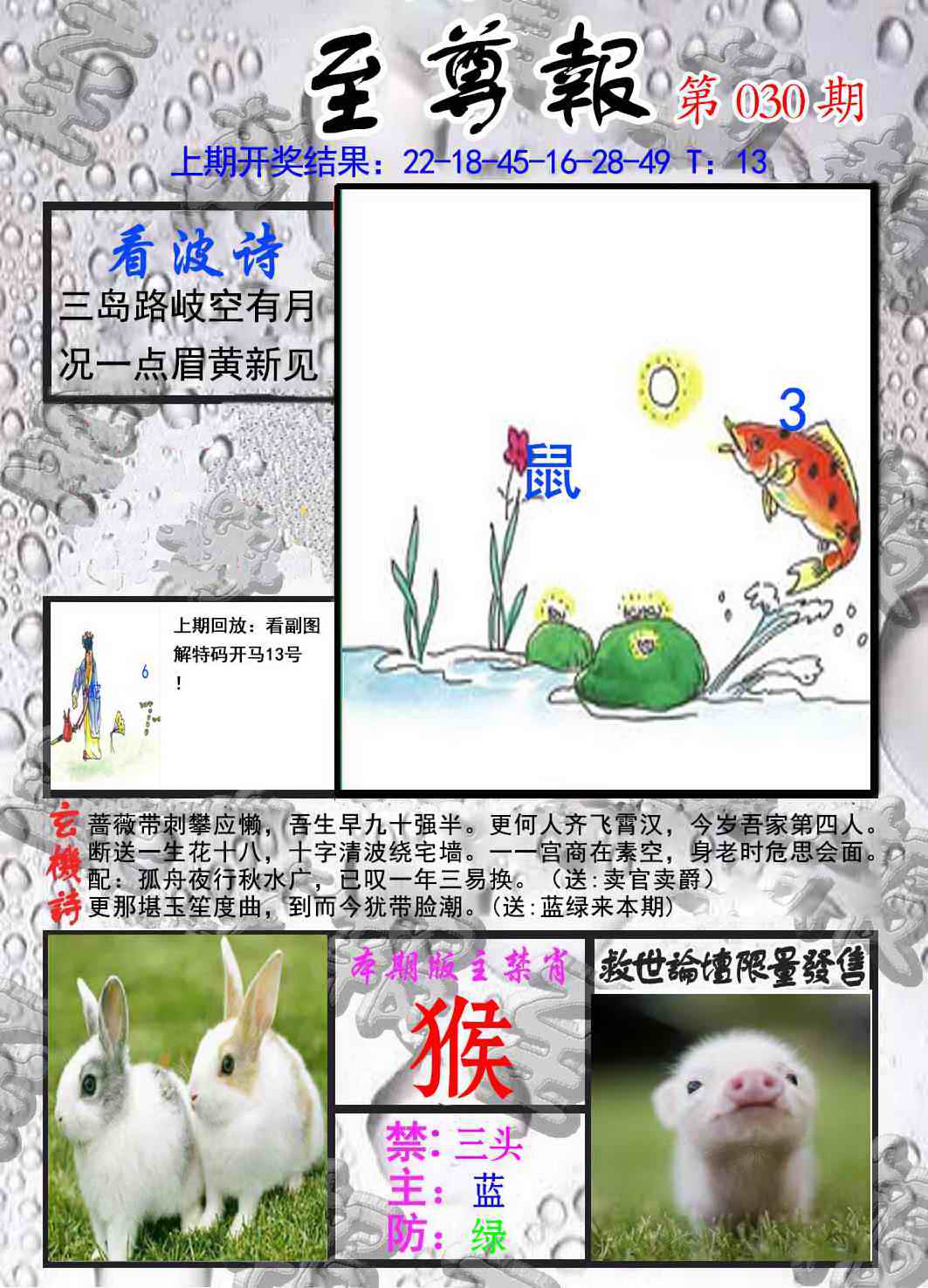 030期至尊报[图]